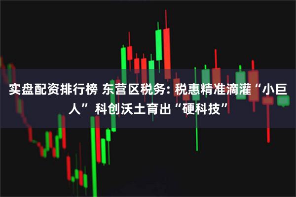 实盘配资排行榜 东营区税务: 税惠精准滴灌“小巨人” 科创沃土育出“硬科技”